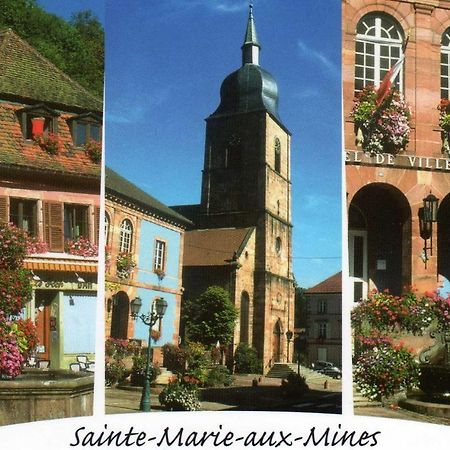 Les Lilas Sainte-Marie-aux-Mines Luaran gambar