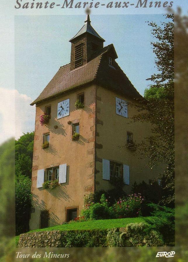 Les Lilas Sainte-Marie-aux-Mines Luaran gambar