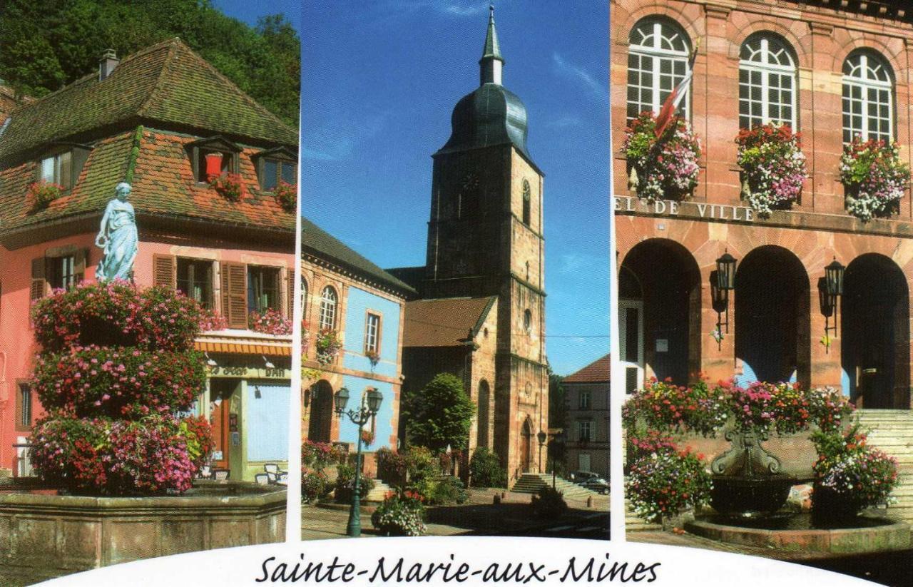 Les Lilas Sainte-Marie-aux-Mines Luaran gambar